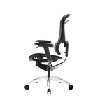 ISEE X Ergo Mesh Office Chairs Mid Back Ergonomic Computer For Longsitting People