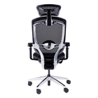 Breathable Mesh Swivel Ergo Office Chairs Ergonomic Revolving Chair