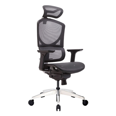 High Back ISEE M Executive Chair With Headrest Mesh Lumbar Support