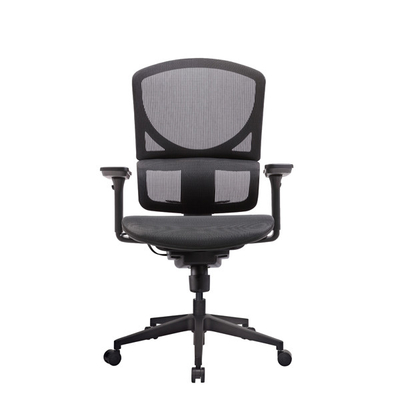 Isee M Ergonomic Office Chair Mesh Desk Adjustable Back Lumbar Support
